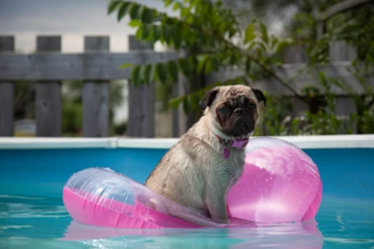 Best Friend Floatie